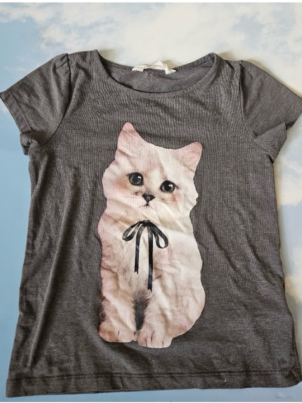 H&M Gray Cat Crop Top